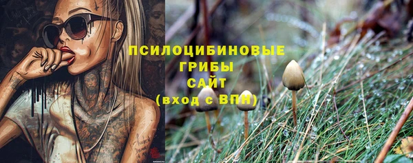 дурь Карпинск