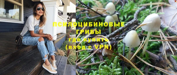 дурь Карпинск