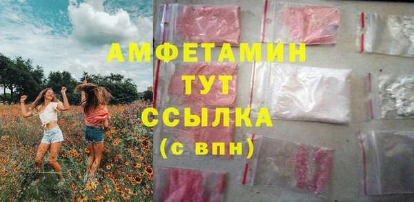 дурь Карпинск