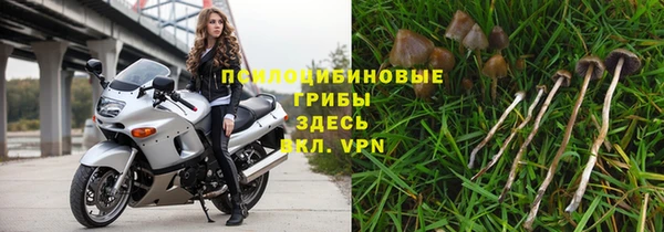 крисы Карталы