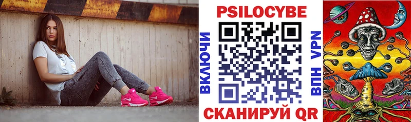 Псилоцибиновые грибы мицелий  Купить  Билибино 